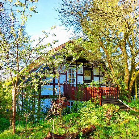 Natururlaub Frankenau 外观 照片