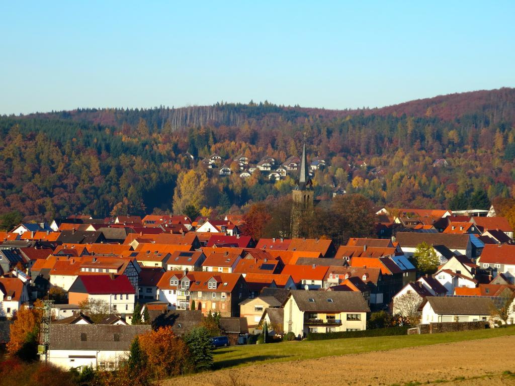 Natururlaub Frankenau 外观 照片
